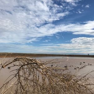 Meet your Posher, Troy